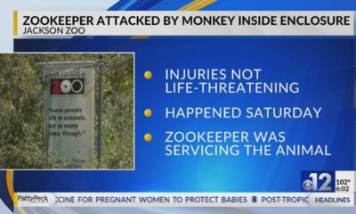 Jackson zookeeper attacked by monkey inside enclosure