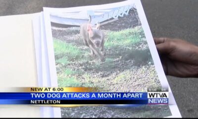 Nettleton alderman remarks on dog attacks