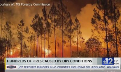 How to comply with Mississippi’s burn ban guidelines