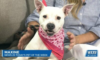 News 25’s Pet of the Week: Maxine is looking for a forever home