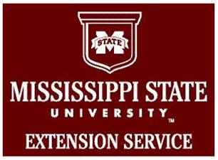 Mississippi State University Extension Offers a ‘Field Day’ for Residents