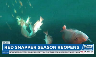 Red Snapper season reopens