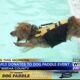 Family donates to Dog Paddle event