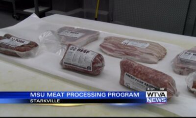 Reporter Gabe Mahner visits meat processing facility at MSU