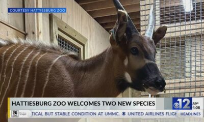 Hattiesburg Zoo welcomes two new species