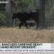 Mississippi farmers impacted by drought