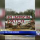 Tupelo Buffalo Park and Zoo preparing for Patch in the Park