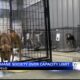 Tupelo-Lee Humane Society is well over capacity limit