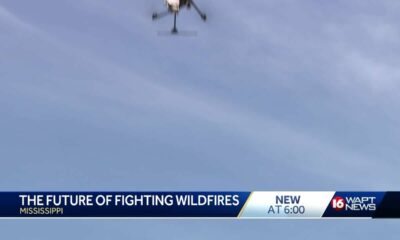 Wildfire drones