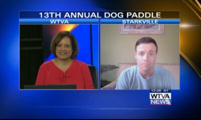 Interview: 13th Annual Dog Paddle in Starkville