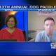 Interview: 13th Annual Dog Paddle in Starkville