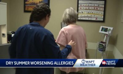 Dry, hot weather means bad allergy season