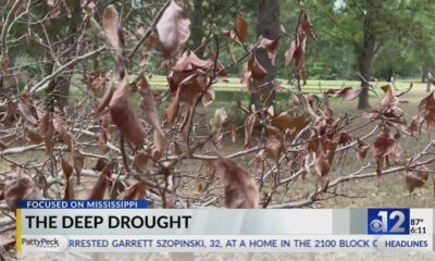 Focused on Mississippi: Drought takes a toll on flowers