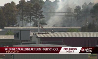 Large wildfire breaks out near Terry High School