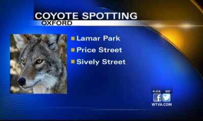 Oxford warns residents about coyote sightings