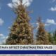 Drought affecting Mississippi Christmas tree farms