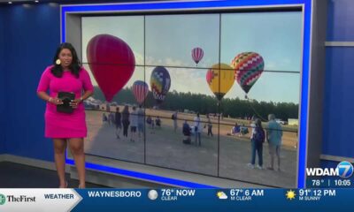 2nd day of balloon festival draws large crowd