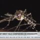 Mississippi reports 20 human cases of West Nile Virus