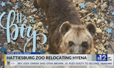 Hattiesburg Zoo hyena relocating to Kansas zoo