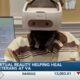 VR technology helping to heal veterans at Biloxi VA