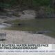 Drought impacts Pine Belt rivers