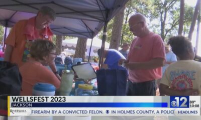 Hundreds attend annual WellsFest in Jackson