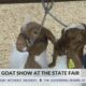 Market goat show held at the  Mississippi State Fair