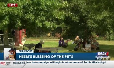 LIVE: HSSM holds 'Blessing of the Pets' event