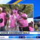 Breast cancer awareness walk held in Edwards