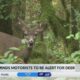 MDOT reminds drivers to stay alert for deer