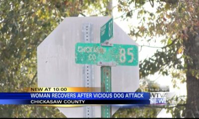 Chickasaw County dog attack victim shares her story