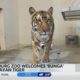 Hattiesburg Zoo welcomes new Malayan Tiger