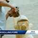 Artist carves bear sculpture for Rolling Fork