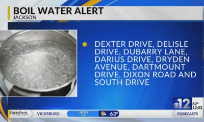 Boil water alert issued for 115 Jackson customers