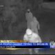 Attala County deputies look for four suspects in attempted break-in