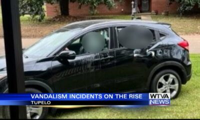 Several cars vandalized in Tupelo neighborhood