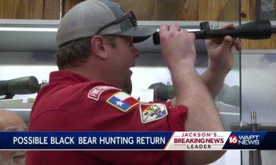 Could bear hunting return to Mississippi