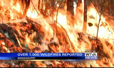 More than 1K wildfires reported in Mississippi