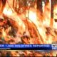 More than 1K wildfires reported in Mississippi