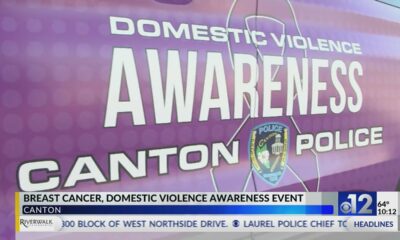 Breast cancer, domestic violence awareness event held in Canton