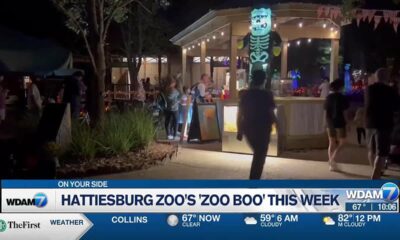 'Halloween officially arrives in Hub City with 1st night of 'Zoo Boo'