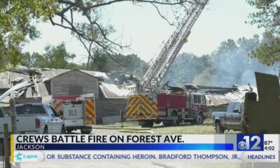 At least a dozen horses killed in Jackson barn fire