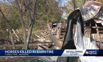 Horse Killed In Barn Fire