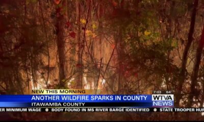 Firefighters responded to forest fire in Itawamba County