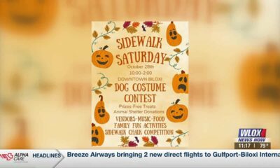 THIS WEEKEND: Biloxi hosts ‘Sidewalk Saturday,’ plus chalk contest, dog costume contest