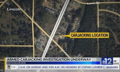 Brookhaven police search for carjacking suspect