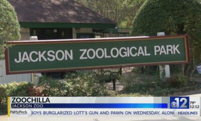 ZooChilla to be held at Jackson Zoo