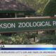 ZooChilla to be held at Jackson Zoo