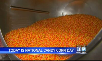 Celebrate National Candy Corn Day on October 30th