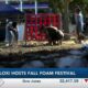 Biloxi’s annual Fall Foam Festival brings foam, fun and farm animals